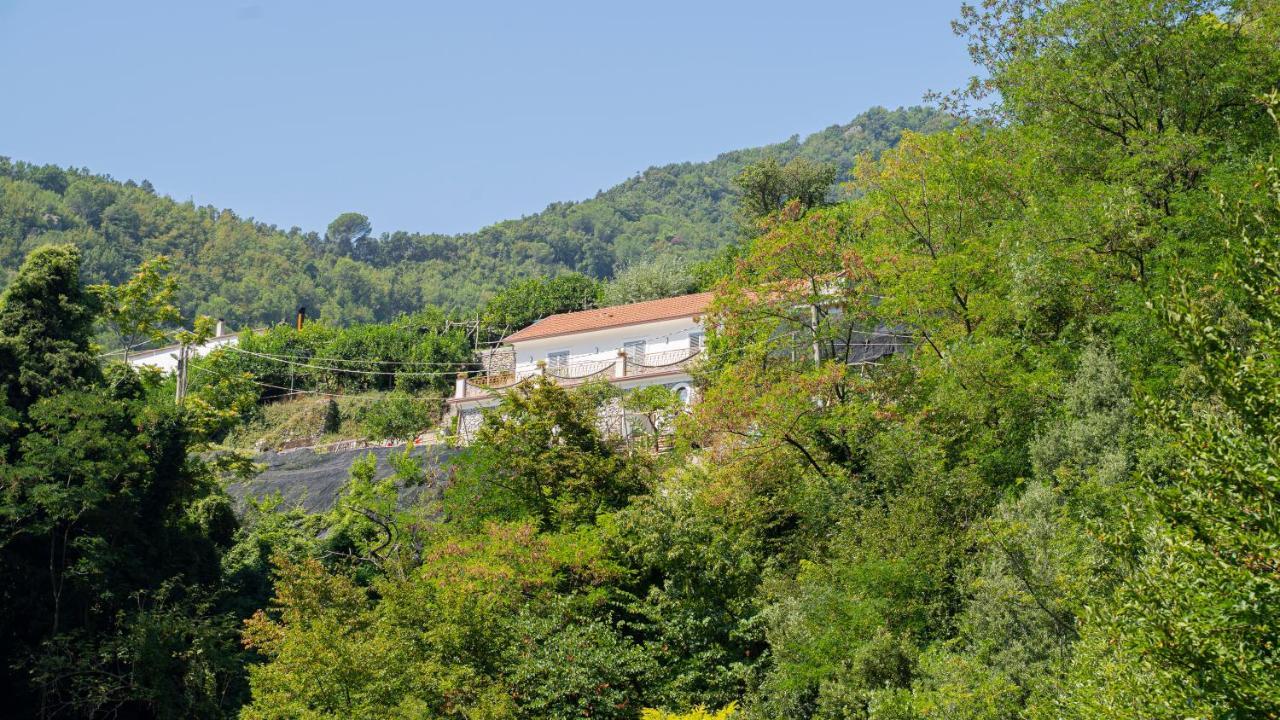 Tra Sole E Limoni Apartments Tramonti Exteriör bild